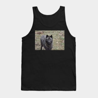 Black Wolf Tank Top